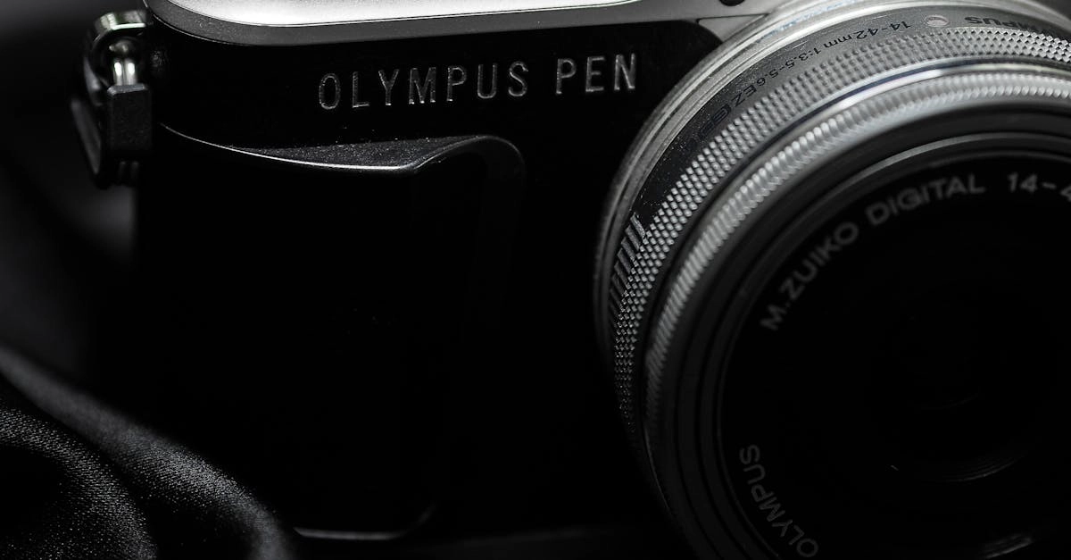 Мифологическая символика в цифровом пространстве олимпийских врат